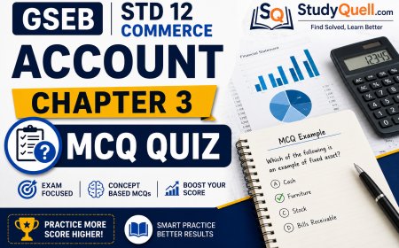 Std 12 Commerce Account Chapter 3 MCQ Quiz